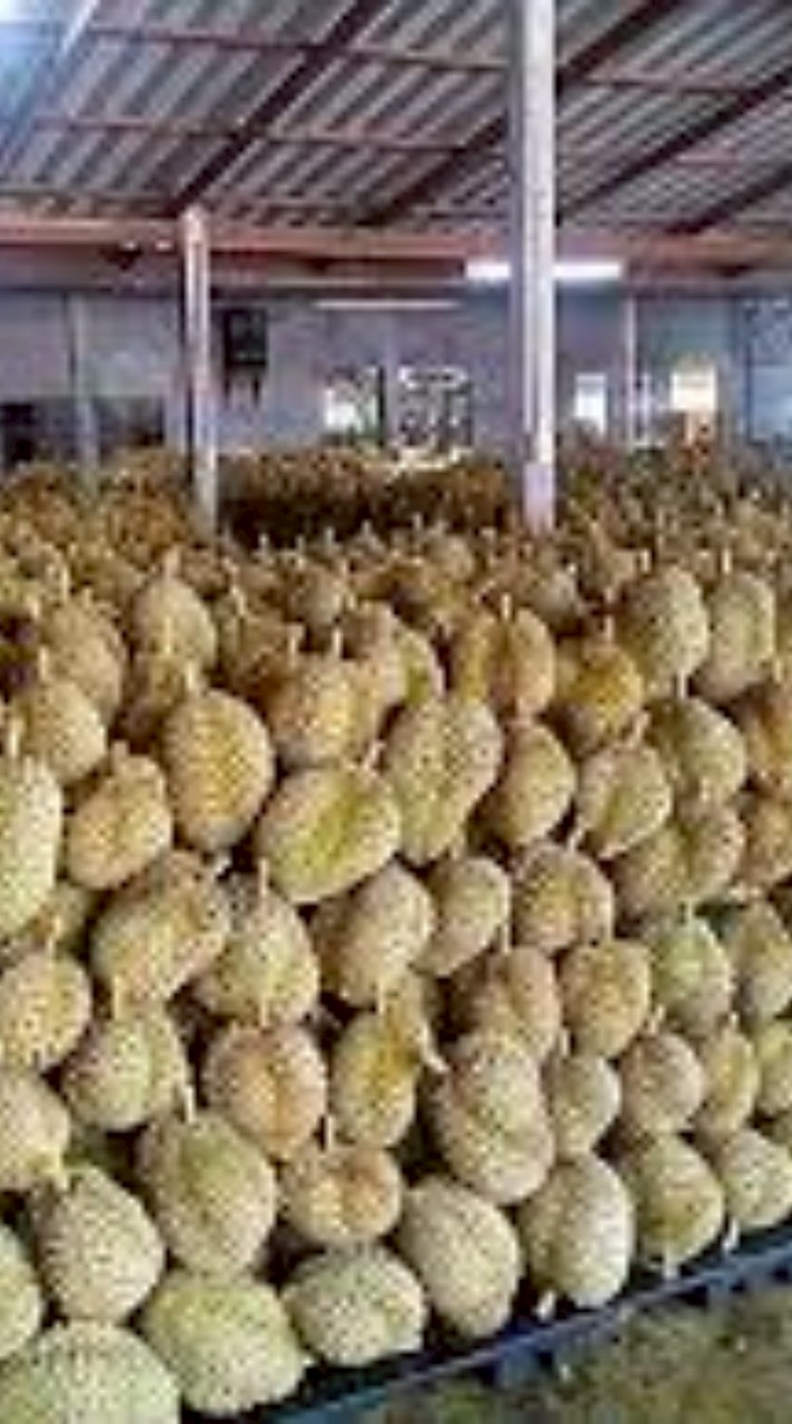 ตลาดอวยชัยสาม/แผงทุเรียน