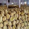 ตลาดอวยชัยสาม(แผงทุเรียน)