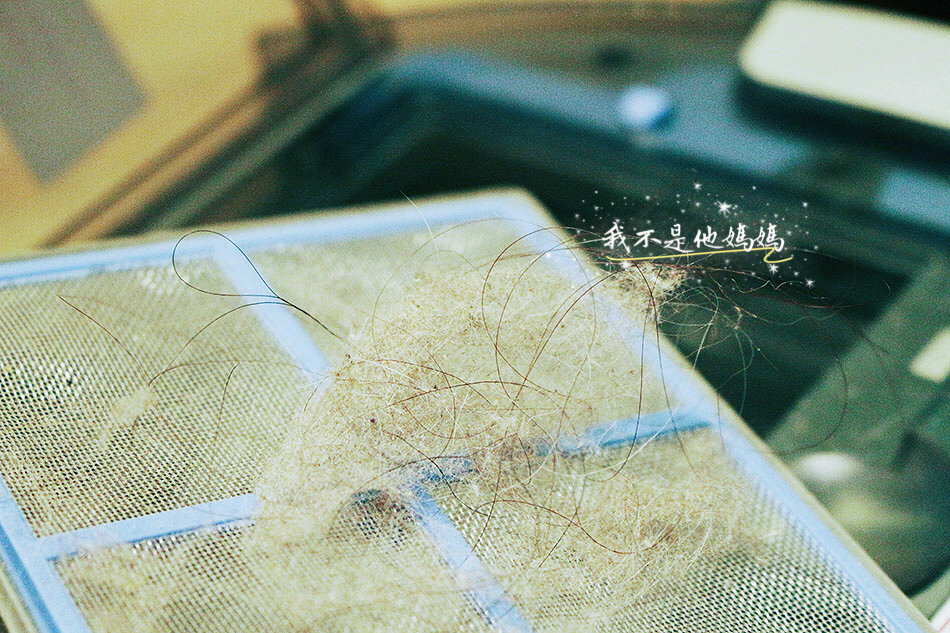 ILIFE,掃地機器人,掃地機器人推薦, ILIFE V8S, ILIFE旗艦機,小米掃地機器人,乾濕兩用掃地機器人,掃拖機器人,LG掃地機器人