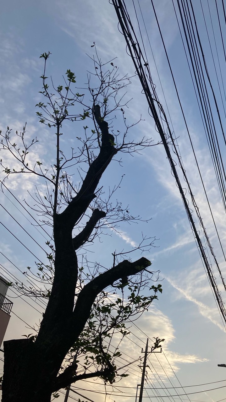 みんなで「楽しく」歌お🎶❣️(審査あり)