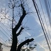 みんなで「楽しく」歌お🎶❣️(審査あり)