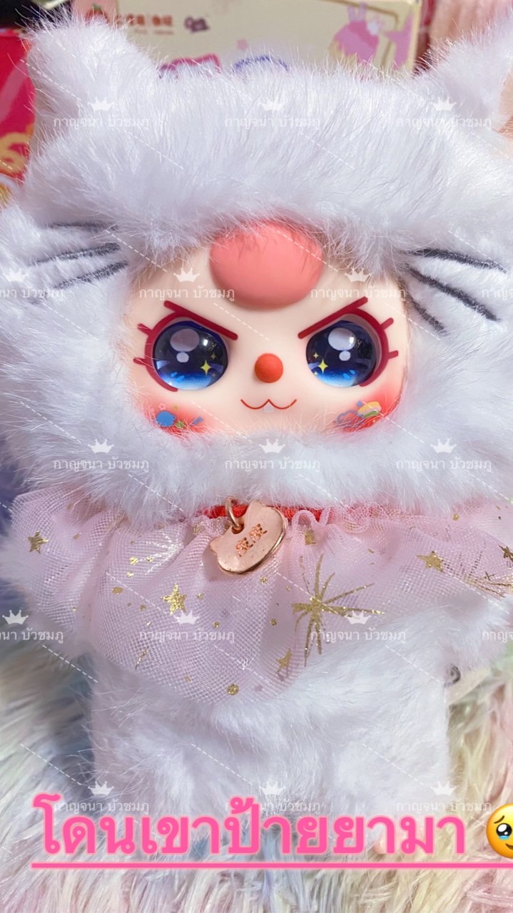 PugKadShop