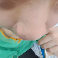 蝦皮雙