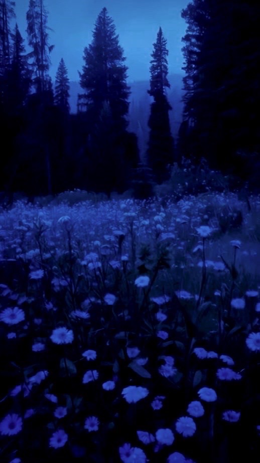 田中の森