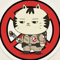 野良猫ギンタ