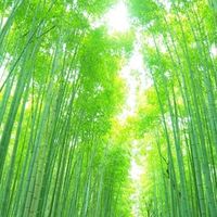 さんめいがく2022年運　アフターの会