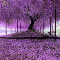 精神障害をなんとかする