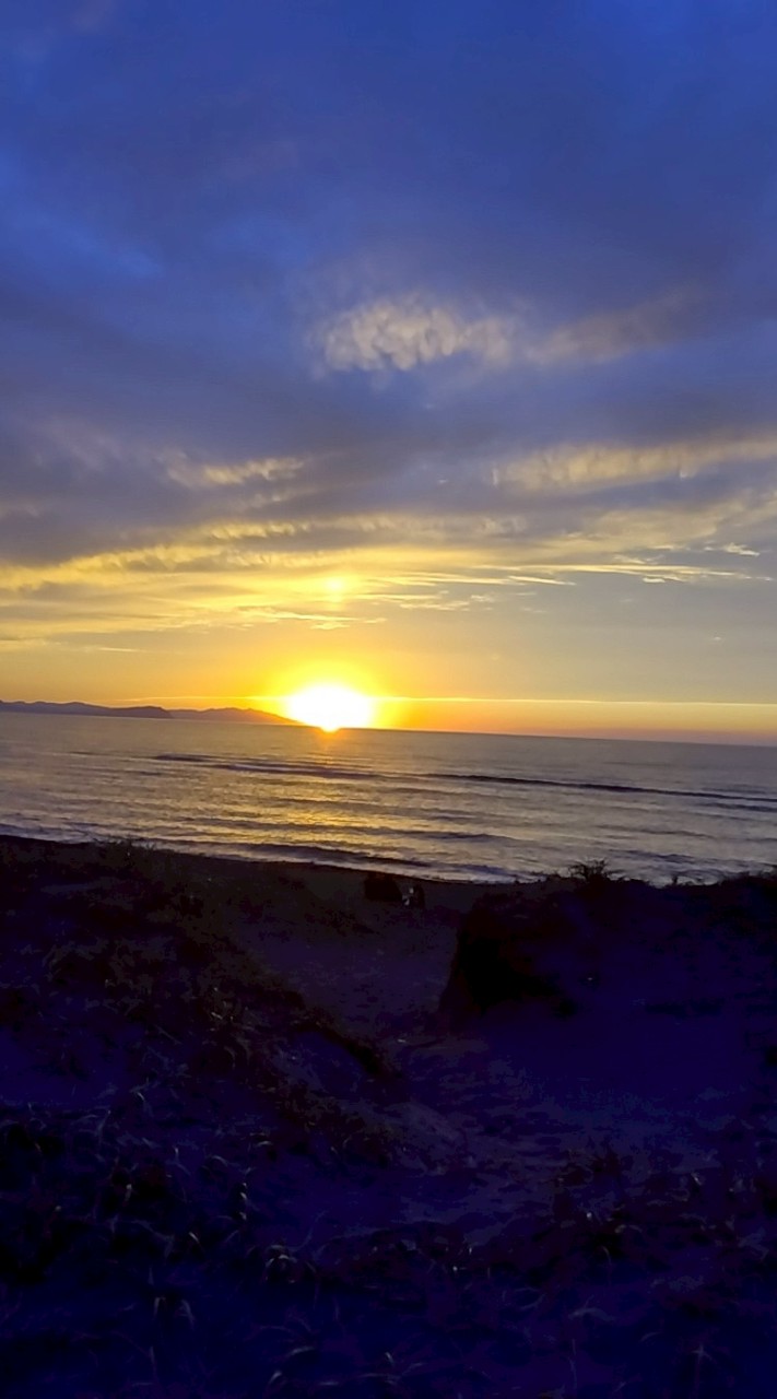 札幌市資料館発表会オープンチャット