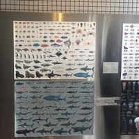 アイちゃん（仮名）