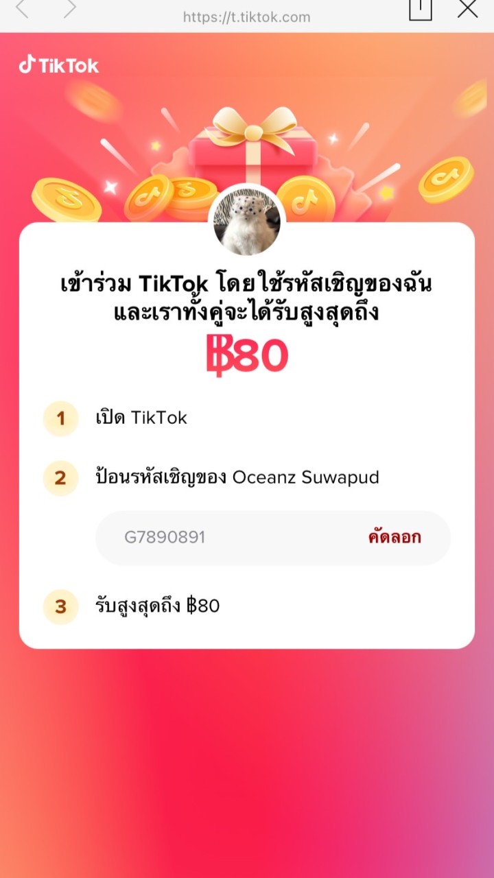 OpenChat Tiktoknewuser