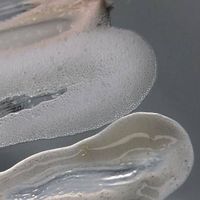 皮膚管理美容師交流