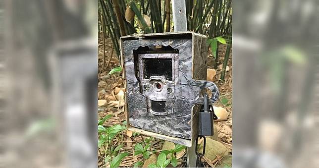 石虎監測相機一周被竊38台　竊賊落網拒說動機