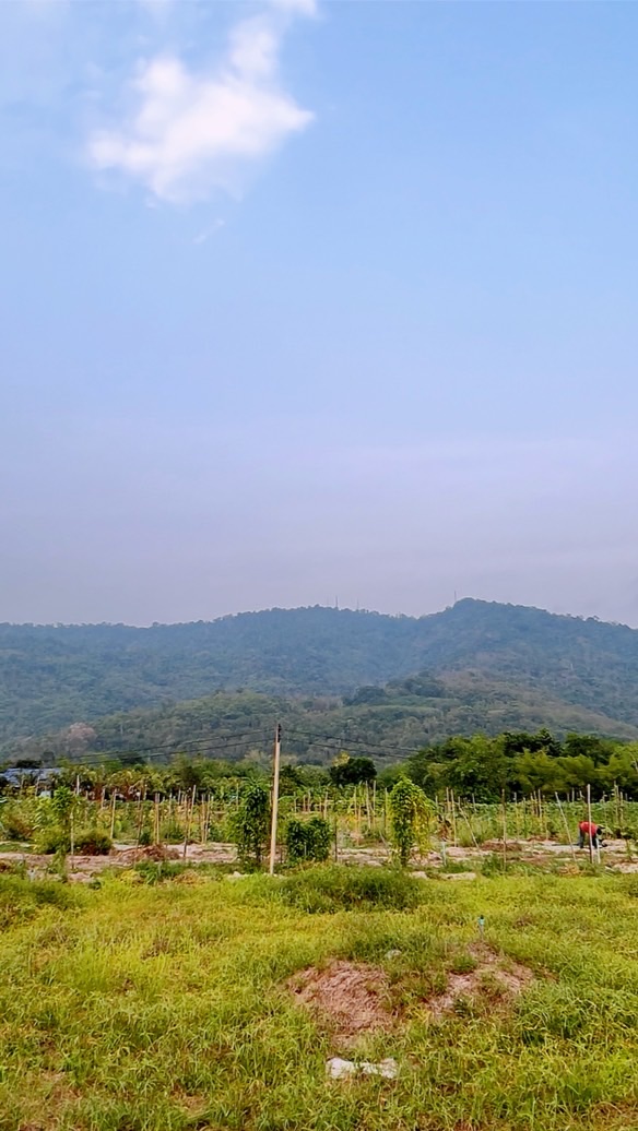 Mountain and River Property