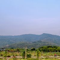 Mountain and River Property