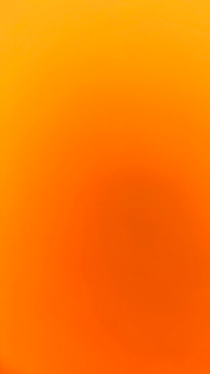 惠妮