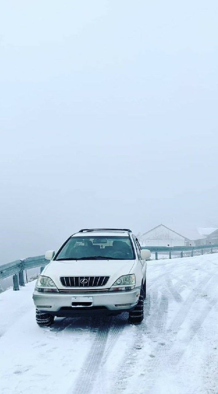 Lexus rx300 小小團