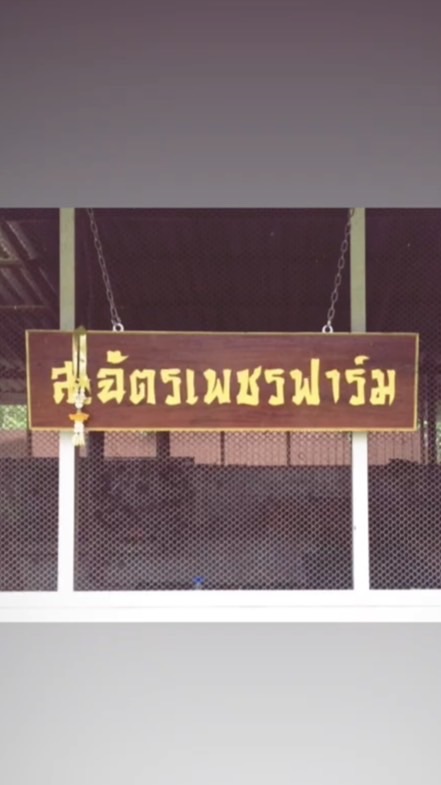 ส.ฉัตรเพชร ฟาร์ม
