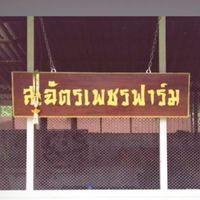 ส.ฉัตรเพชร ฟาร์ม