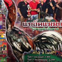 ส.สิงห์​พยัคฆ์​ ฟาร์ม​