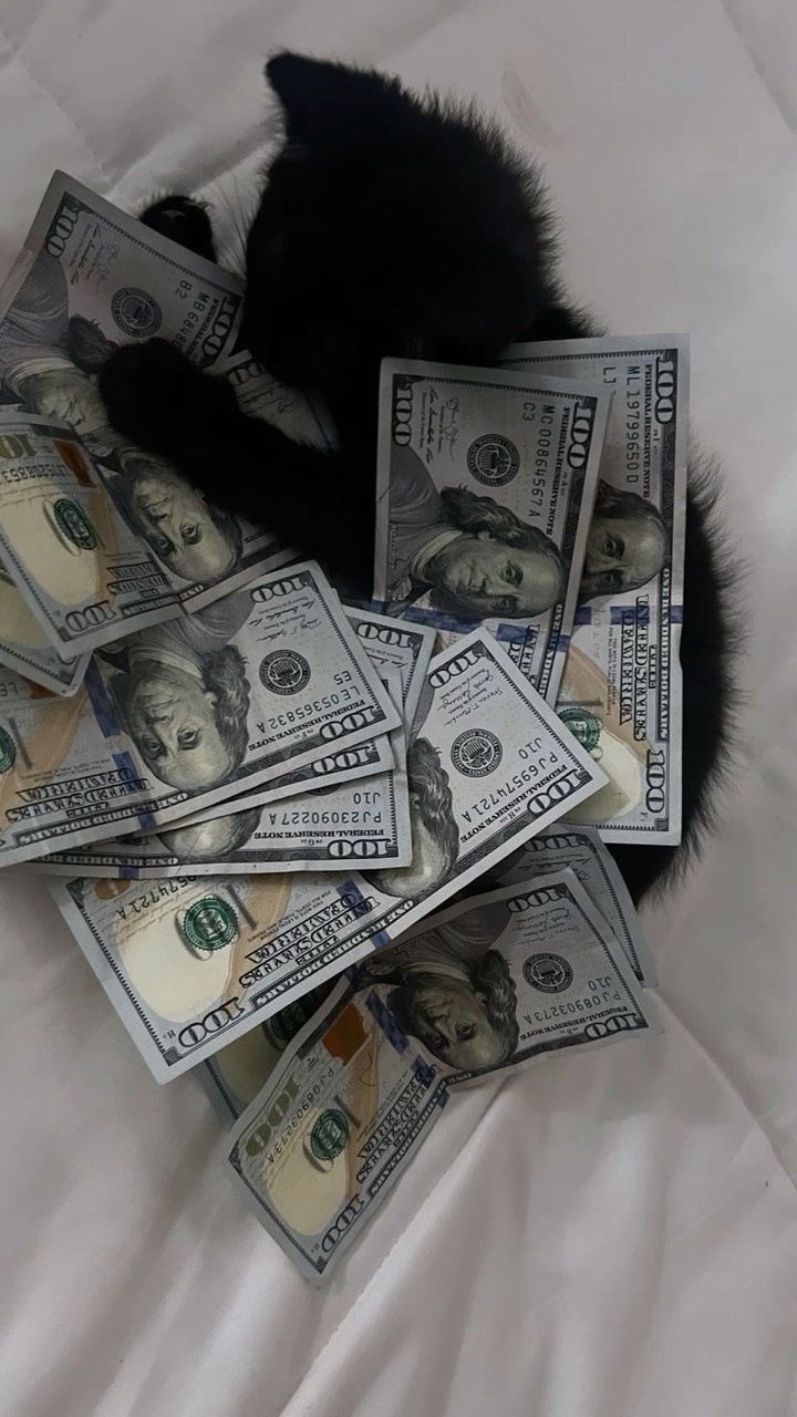 student’s wwwheferrr