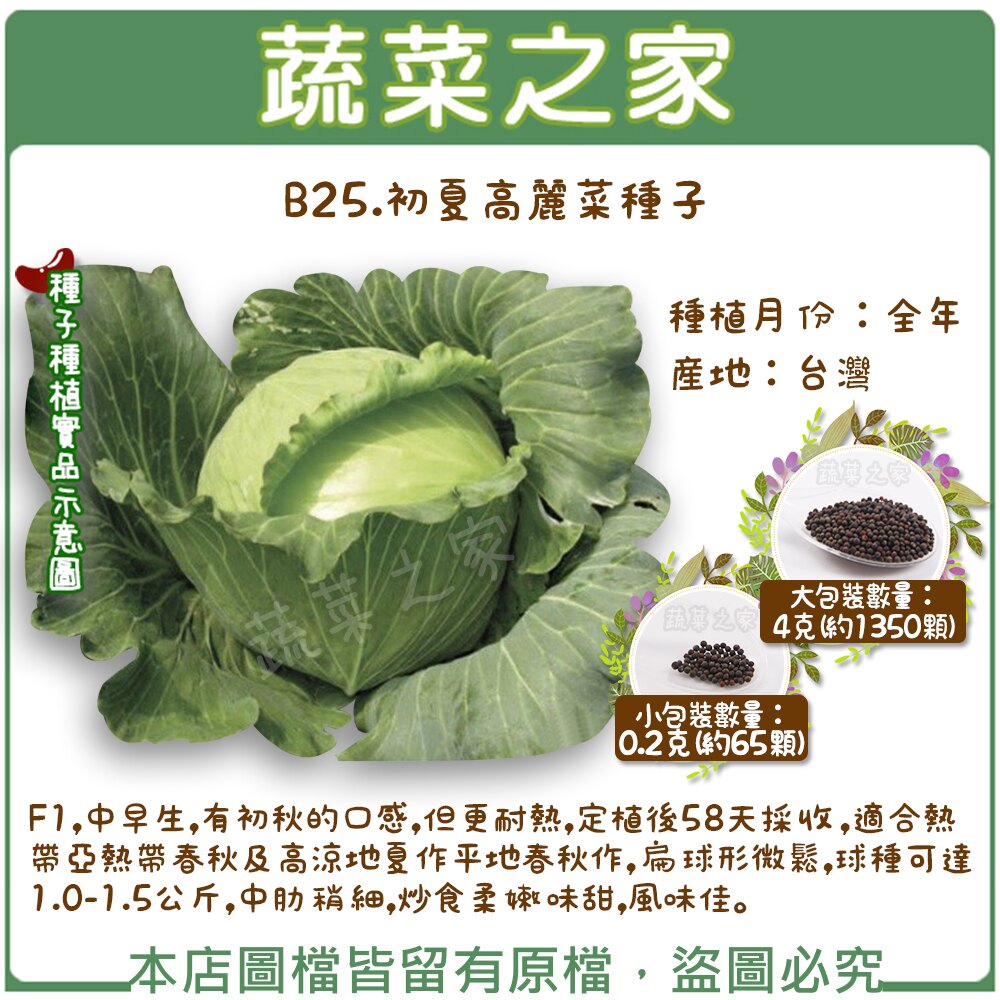 【蔬菜之家】B25.初夏高麗菜種子0.2克(約65顆)、4克(約1350顆)(共有2種包裝可選)