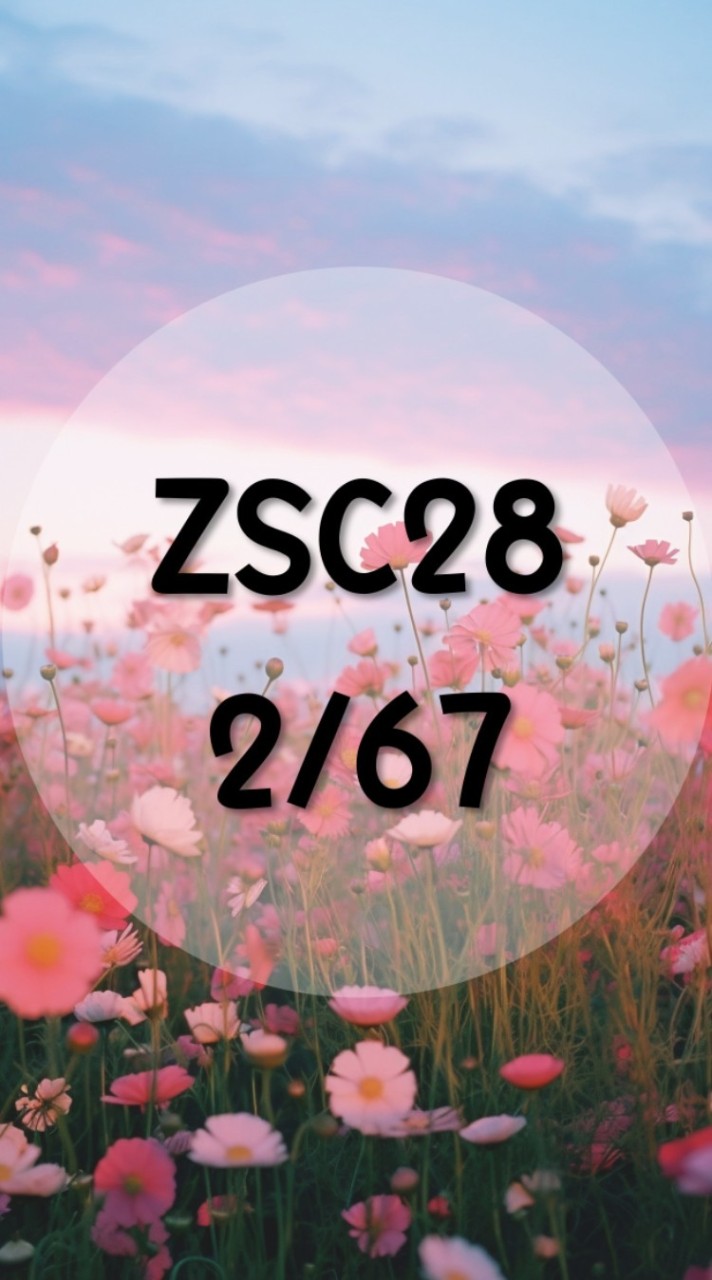 ZSC28_Science&Art 2/67