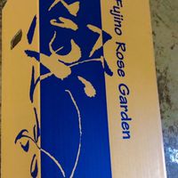 バラの出荷情報　北九州