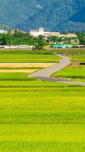 台東農產團購！Taitung agricultural group purchase！