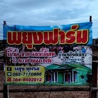 พยุงฟาร์ม_บ้านเขียว