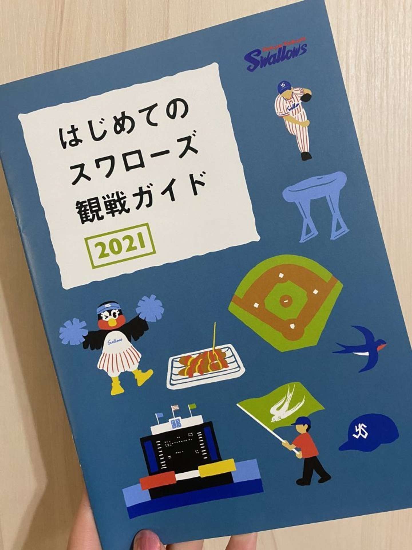 全球団で作ってほしい！ 野球初心者にも分かりやすい、ヤクルトの