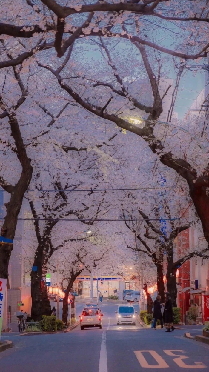 91🇯🇵日本代購🍱🏯🍡🍣