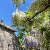 障害者雇用（身体障害）の部屋