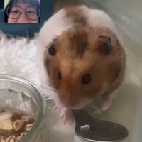我嘉義的姐姐跟弟弟