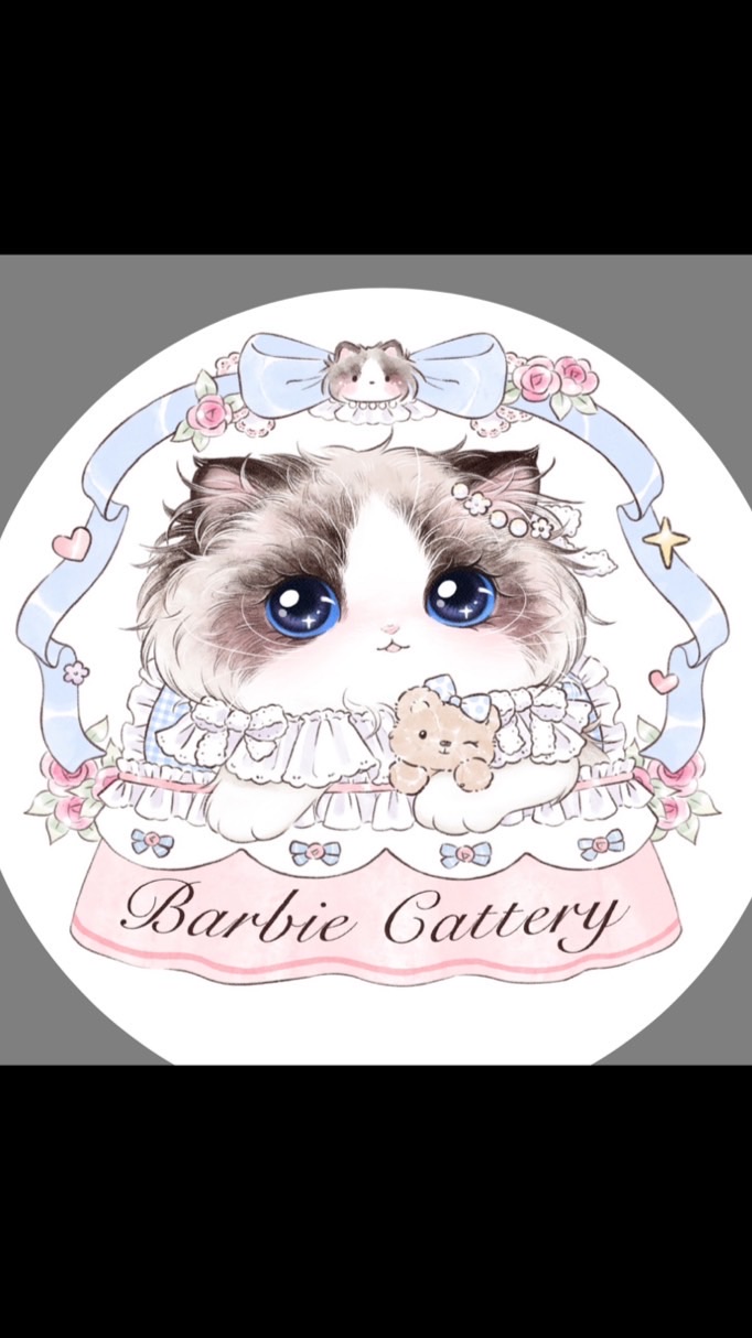 Barbie Ragdoll Thailand ✨💓