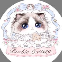 Barbie Ragdoll Thailand ✨💓