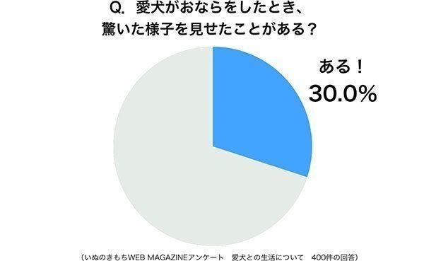 逃げる フリーズ 自分のおならに驚愕した犬たちの行動