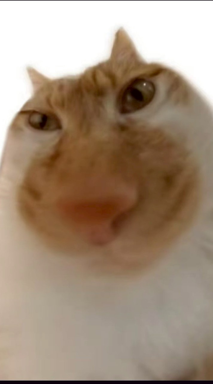 cos大亂鬥