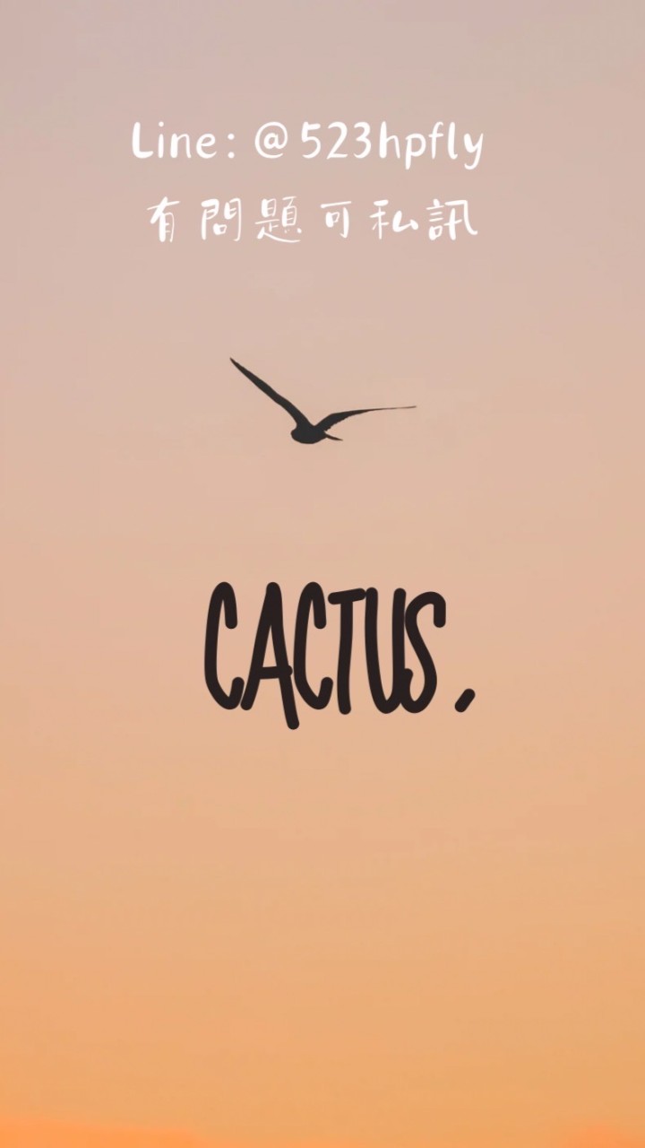 ✈️cactus｜6/19-6/22福岡🇯🇵代購小圈圈