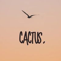 ✈️cactus｜代購小圈圈