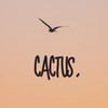 ✈️cactus｜6/19-6/22福岡🇯🇵代購小圈圈