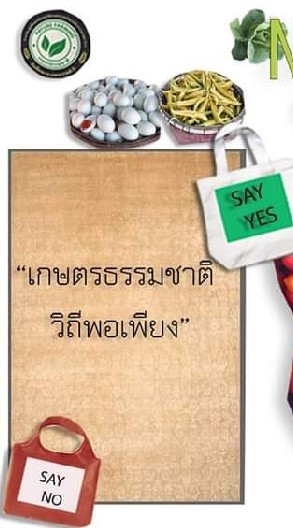 คนรักเกษตรธรรมชาติวัดญาณฯ