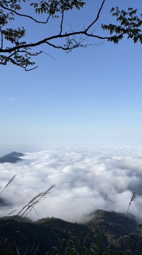 新長興週二教學班