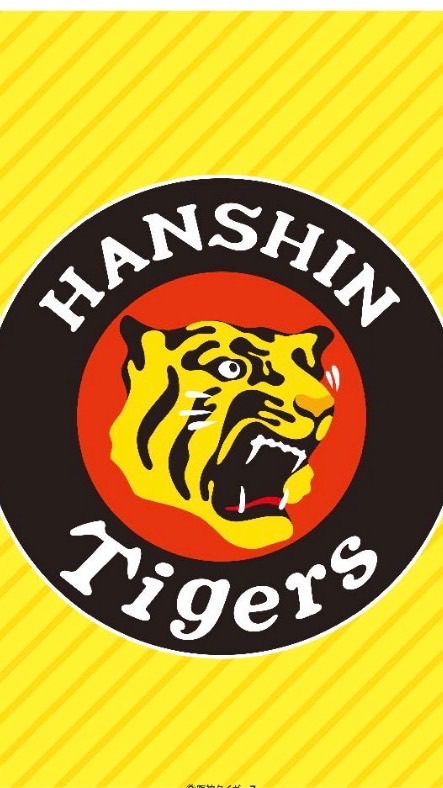 阪神タイガース好きな中学生おいで