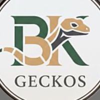 BK gecko