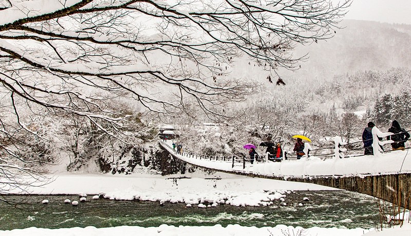 20160120-20160120-IMG_9761