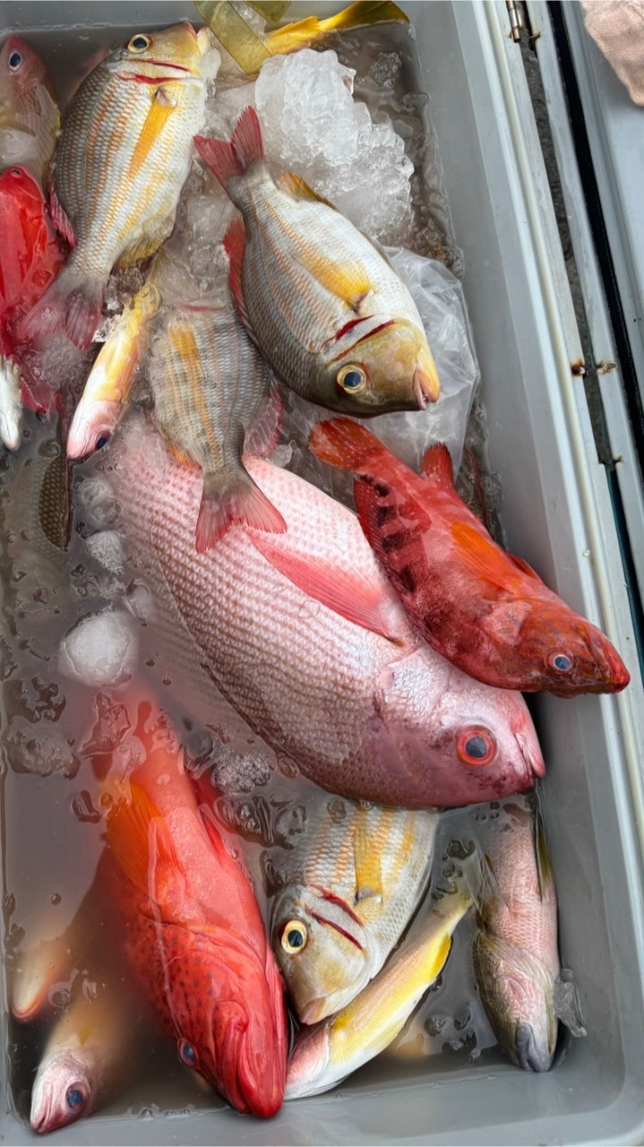 高雄魚仔厝現流船釣🚢🎣