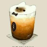 ☕🐈ร้านคาเฟ่แมวcat coffee🐈☕