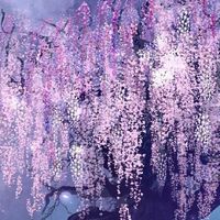 ☾︎𝒏𝒂𝒊𝒏𝒂♫︎☽︎社群