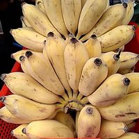 蔬果家族