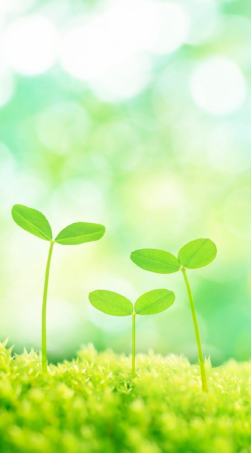 🍀草の根座談会🍀のオープンチャット